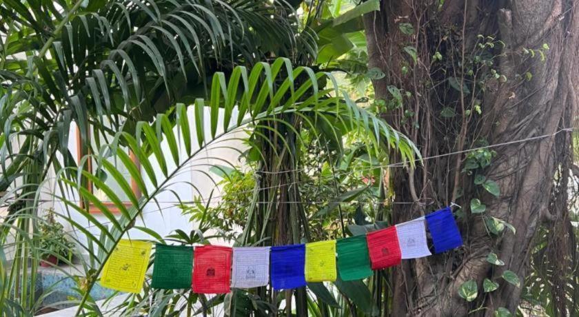 Club Denovo Hotel Butwal Luaran gambar