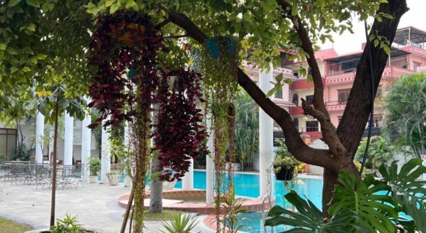 Club Denovo Hotel Butwal Luaran gambar